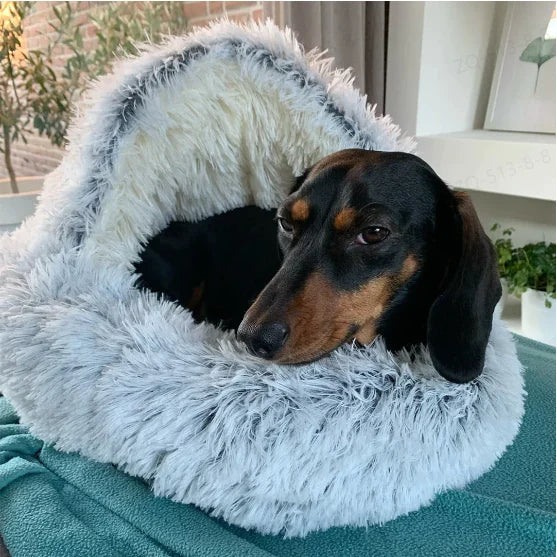 Cozy Pet™ - Het ultieme huisdierenbed voor comfort en knusheid