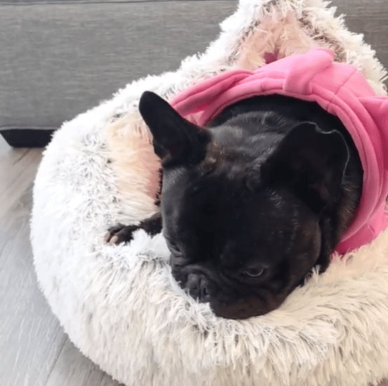 Cozy Pet™ - Het ultieme huisdierenbed voor comfort en knusheid