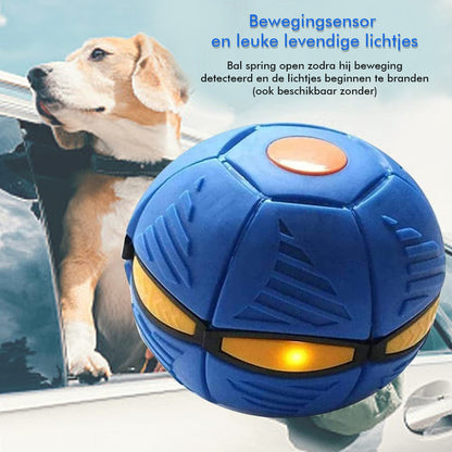 HappyDogFrisbee™ - Ultiem plezier voor je viervoeter! (1+1 gratis)