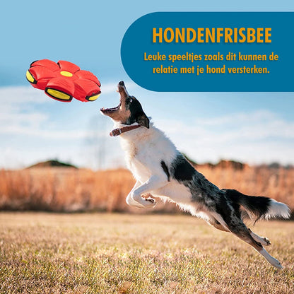 HappyDogFrisbee™ - Ultiem plezier voor je viervoeter! (1+1 gratis)