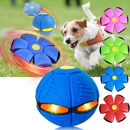 HappyDogFrisbee™ - Ultiem plezier voor je viervoeter! (1+1 gratis)